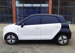 欧拉 黑猫 2021款 301km 基础型